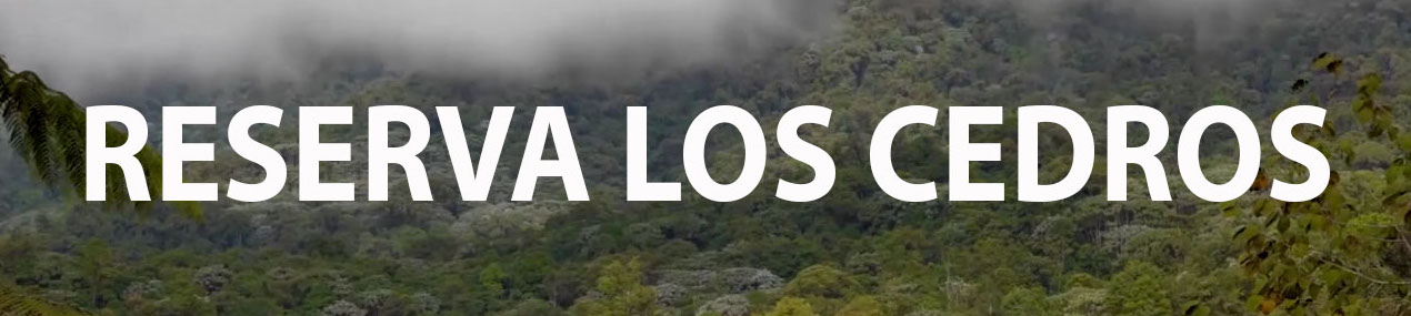 Los Cedros Reserve